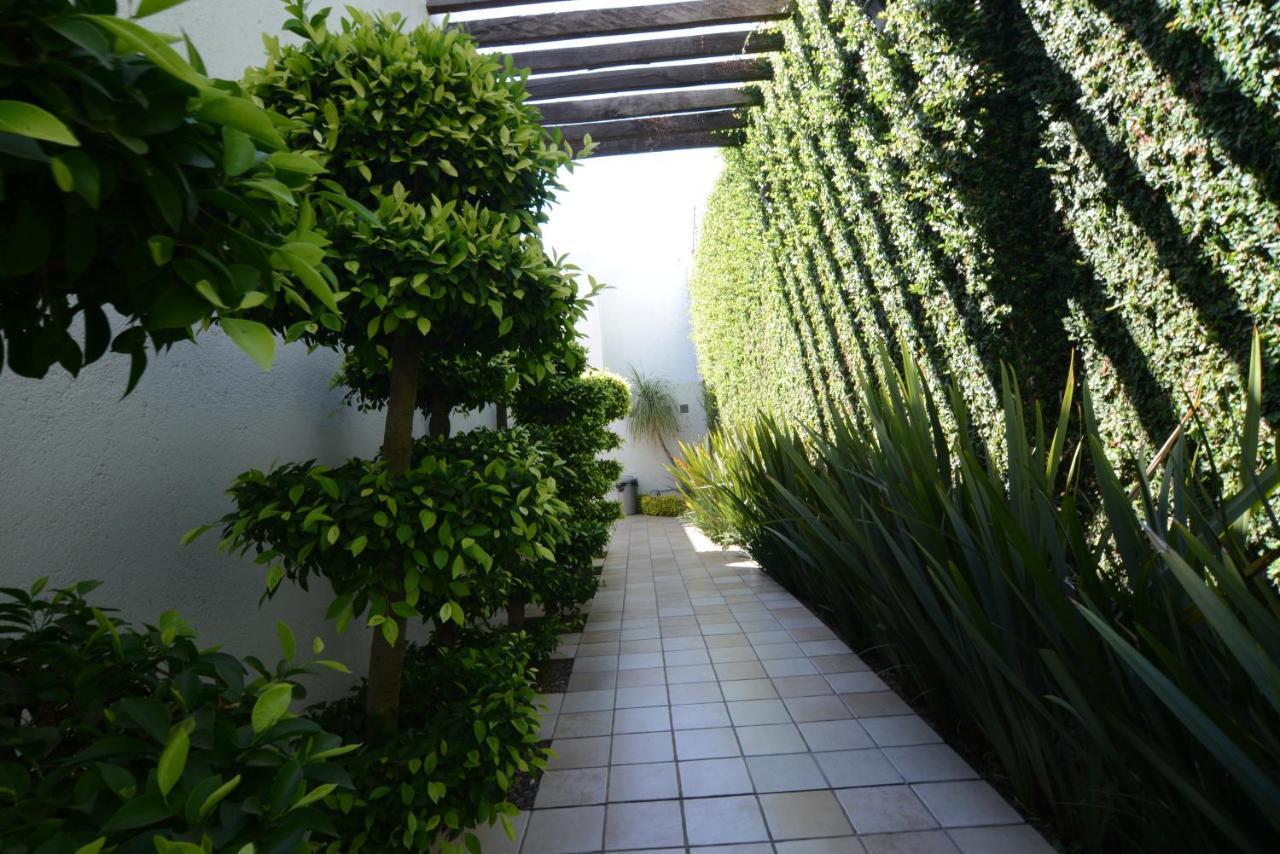 Oaxaca Suites La Fe מראה חיצוני תמונה